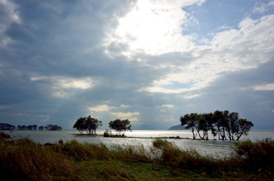 湖北水鳥センター前の景色