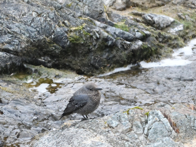 DSC_0052.jpg