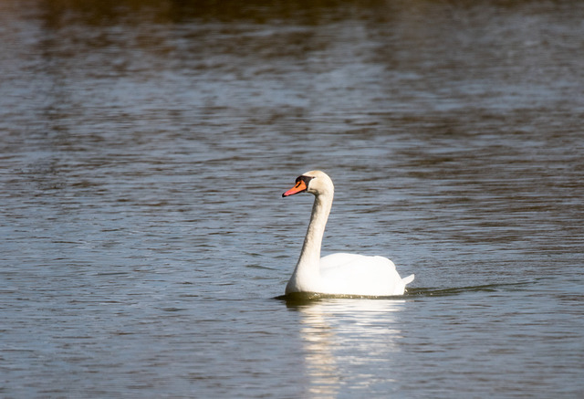 DSC_3881.jpg