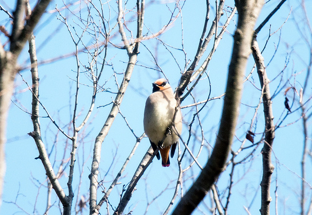DSC_3903.jpg