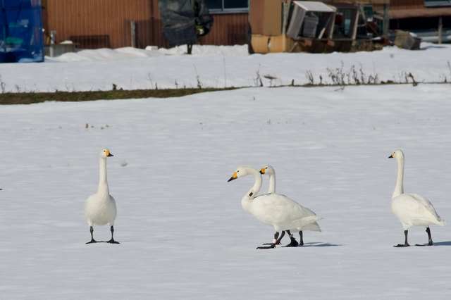DSC_9808.jpg