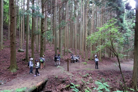 ささやまの森公園